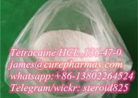high quality Tetracaine Hcl powder supplier CAS.136-47-0 Tetracaine price fast shipping