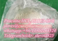 High purity Procaine hcl china suppplier CAS:51-05-8 Procaine powder price safe shipping