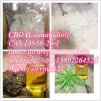 99% Natural Cannabidiol supplier Cbd Isolate Powder price CAS 13956-29-1 Cbd oil
