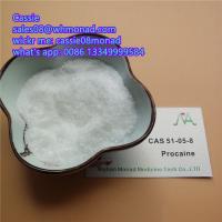 China factory supply cas 51-05-8 Procaine hydrochloride powder