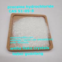 procaine hydrochloride CAS 51-05-8  ( mia@crovellbio.com  whatsapp +86 19930503252 