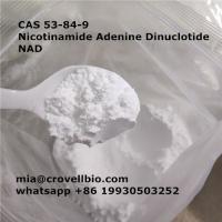 CAS 53-84-9     Nicotinamide Adenine Dinuclotide   NAD ( mia@crovellbio.com  whatsapp +86 19930503252 