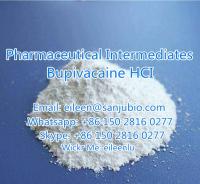 Bupivacaine HCl High Purity buy online   WhatsApp: +86 15028160277
