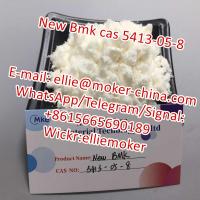 New Bmk Pmk Glycidate CAS 5413-05-8/16648-44-5/13605-48-6 with Delivery Guaranteed