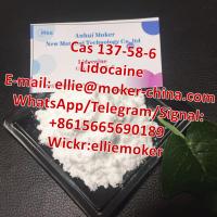 Pharmaceutical Intermediate Local Pain Killer Lidocaine Powder Lidocaine Base Lidocaine CAS 137-58-6