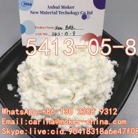 BMK Glycidate CAS 5413-05-8 Ethyl 2-Phenylacetoacetate with Large Stock Delivery Guaranteed