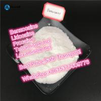 Benzocaine China 99% purity benzocaine hcl with safe delivery