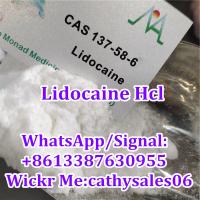 Anesthetic Powders Lidocaine for Pain Killer CAS 137-58-6