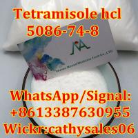 Pharmaceutical Anthelmintic Tetramisole HCl Tetramisole Hydrochloride CAS: 5086-74-8