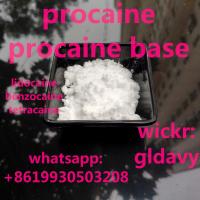 China factory supplies cas 59-46-1 procaine base powder