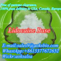 Bulk supply lidocaine powder cas 137-58-6 lidocaine manufacturer in China 