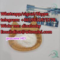Procaine hydrochloride CAS:51-05-8 buy procaine hcl  sell procaine hcl procaine hcl price supply procaine hcl 