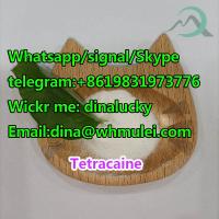 Tetracaine powder  sell tetracaine powder buy tetracaine tetracaine supplier tetracaine price  CAS:94-24-6 