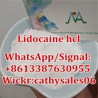 99% Lidocaine Local Anesthetic Powder Lidocaine Base Pain Killer CAS 137-58-6