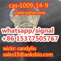 valerophenone manufacturer,China valerophenone 1009-14-9