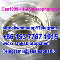 sell Valerophenone, CAS 1009-14-9 Factorry Price 1009 14 9, 1009149 and CAS 59774-06-0 China