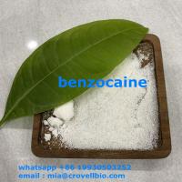 benzocaine supplier in CHina   ( mia@crovellbio.com whatsapp +86 19930503252