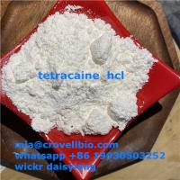 tetracaine supplier in China   ( mia@crovellbio.com  whatsapp +86 19930503252