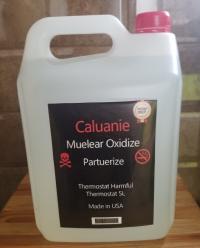  Crude Caluanie 99% is generated from Muelear oxidize