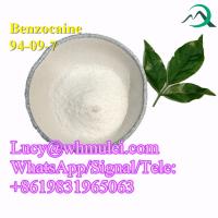 Benzocaine Powder CAS 94-09-7 Anesthetic Agents China Supplier