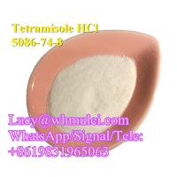 Tetramisole HCl Powder 5086-74-8 Antiparasitic drug China Reliable Supplier
