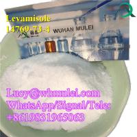 Levamisole Powder 14769-73-4 Antiparasitic Drug China Top Manufacturer