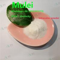 Tetracaine powder CAS:94-24-6 buy tetracaine sell tetracaine powder china supplier clear customs fast and safe ( door to door) high quality 