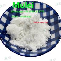 Lidocaine hcl powder cas 73 78 9 buy lidocaine hcl powder china supplier pass customs fast and safe 
