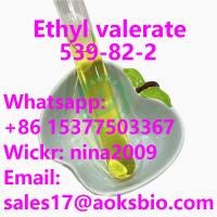 Factory Supply  Ethyl valerate Liquid price CAS 539-82-2 Whatsapp: +86 15377503367 