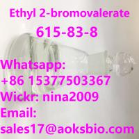 Whatsapp: +86 15377503367 Ethyl 2-bromovalerate Liquid CAS 615-83-8 Delivery to Russia Ukraine