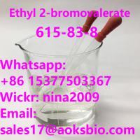 Top Quality Ethyl 2-bromovalerate Liquid Whatsapp: +86 15377503367 CAS 615-83-8 for sale
