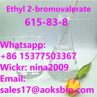 Manufacturer high quality Ethyl 2-bromovalerate Liquid CAS 615-83-8 Whatsapp: +86 15377503367