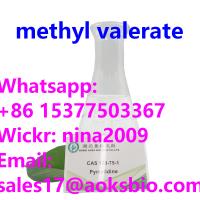 Manufacturer high quality  methyl valerate liquid CAS 624-24-8 Whatsapp: +86 15377503367