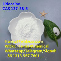 CAS 137-58-6 Lidocaine High Purity Powder China Factory Supplier 