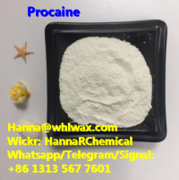 CAS 59-46-1 Procaine High Purity Powder China Factory Supplier 