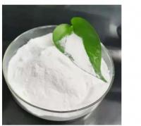 Top Purity Benzocaine HCl CAS 10250-27-8 / CAS 23056-29-3 with Best Price