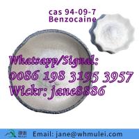 Local Anesthetic Pain Killer Powder Benzocaine CAS 94-09-7 from china factory
