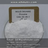 Buy top quality procaine CAS: 59-46-1 from whmulei contact GEM@whmulei.com