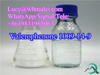 Butyl Phenyl Ketone CAS 1009-14-9 China Raw Organic Reagent Valerophenone in Safety Delivery 