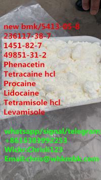 2-bromo-4-methylpropiophenone cas 1451-82-7/whatsapp/wechat/telegram:+8615383992253
