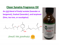 1oz. Clean Synatra Fragrance Oil
