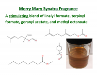 1oz. Merry Mary Synatra Fragrance Oil