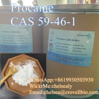 Procaine suppliers CAS 59-46-1.WhatsApp: +8619930503930