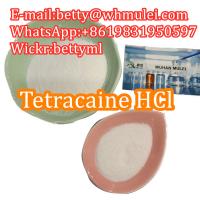 Sell tetracaine hcl powder,cas 136-47-0,tetracaine hydrochloride,tetracaine hcl supplier