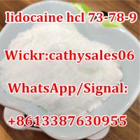99% Lidocaine Hydrochloride / Lidocaine HCl CAS 73-78-9 for Pain Killer