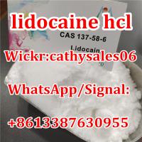 Manufacturer Supply Lidocaine hydrochloride CAS NO.73-78-9