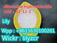 dibucaine hydrochloride   CAS:61-12-1    Whatsapp:+8615630100261  Wickr:lilyzcr