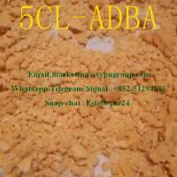5cl-adb-a CAS:13605-48-6 from factory Whatsapp/Telegram :852-51294686 
