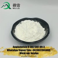 High Prity Amphozone/Amphotericin B Powder CAS 1397-89-3 with Safe Delivery to Pakistan India