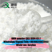 Raw Material Beta Nicotinamide Bulk Powder Dietary Supplement Nmn CAS 1094-61-7 Nad Booster